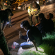U.S. Border Patrol agents detain immigrants in Mission, Texas